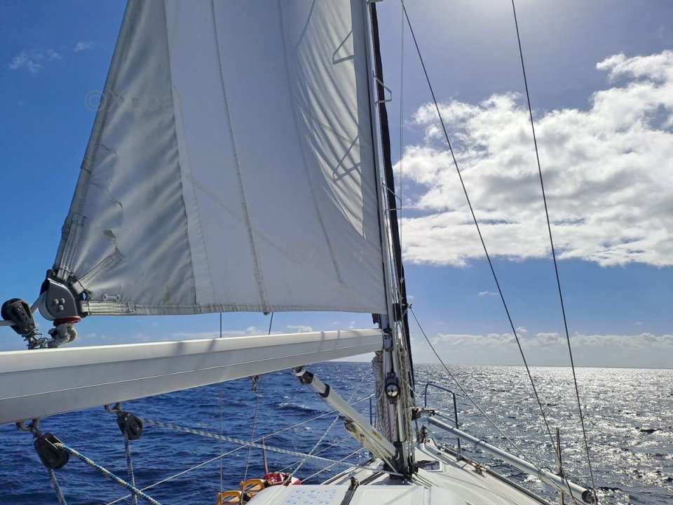 Velero usado BAVARIA 30 CRUISER