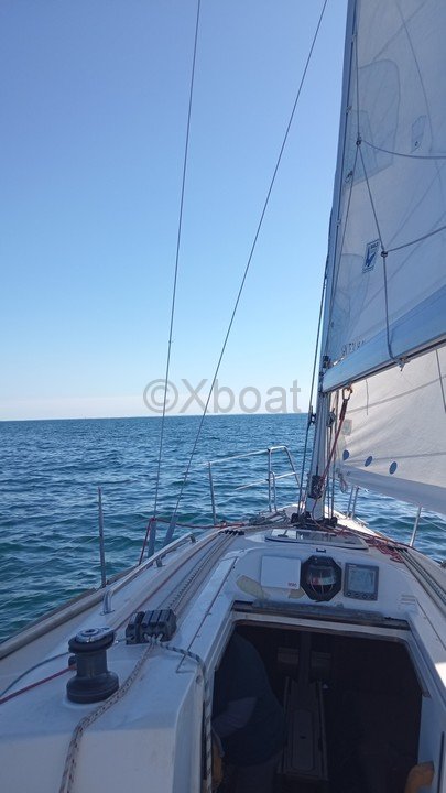 Velero usado ELAN 31