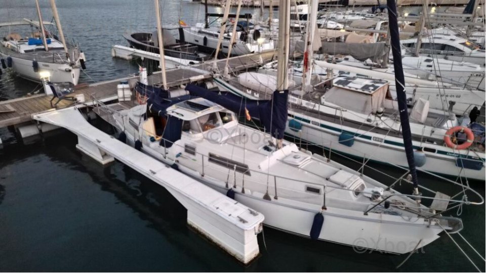 Velero usado AMEL EUROS 41