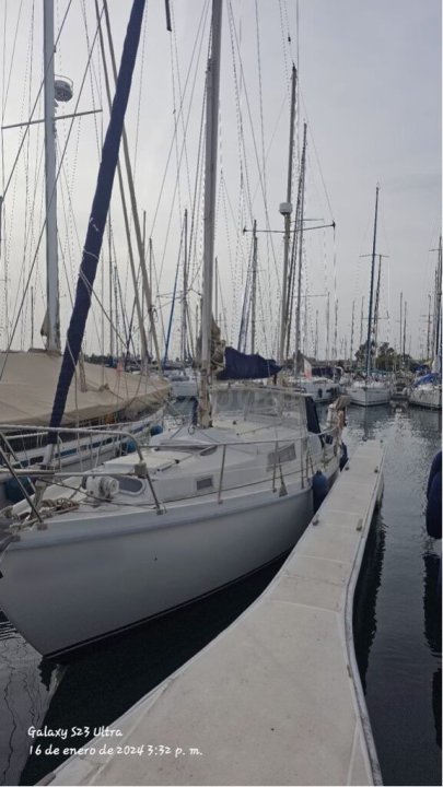 Velero usado AMEL EUROS 41