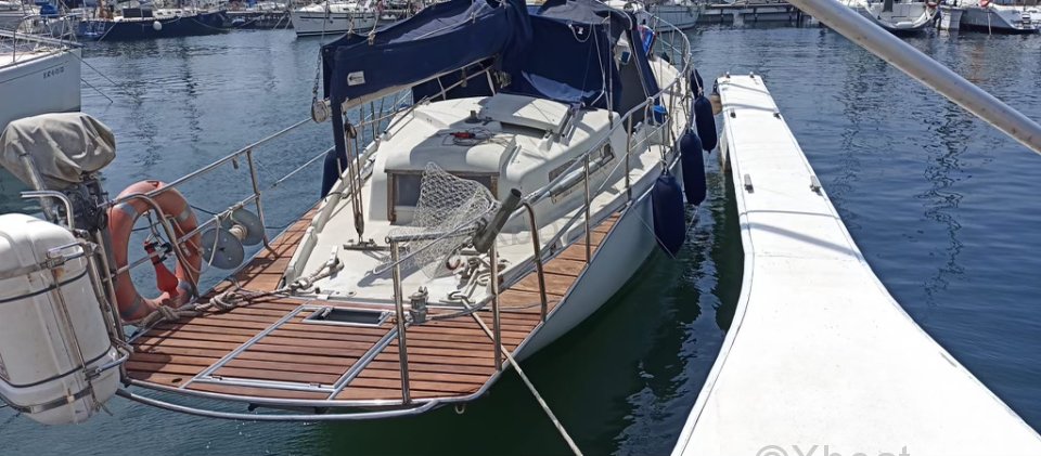 Velero usado AMEL EUROS 41